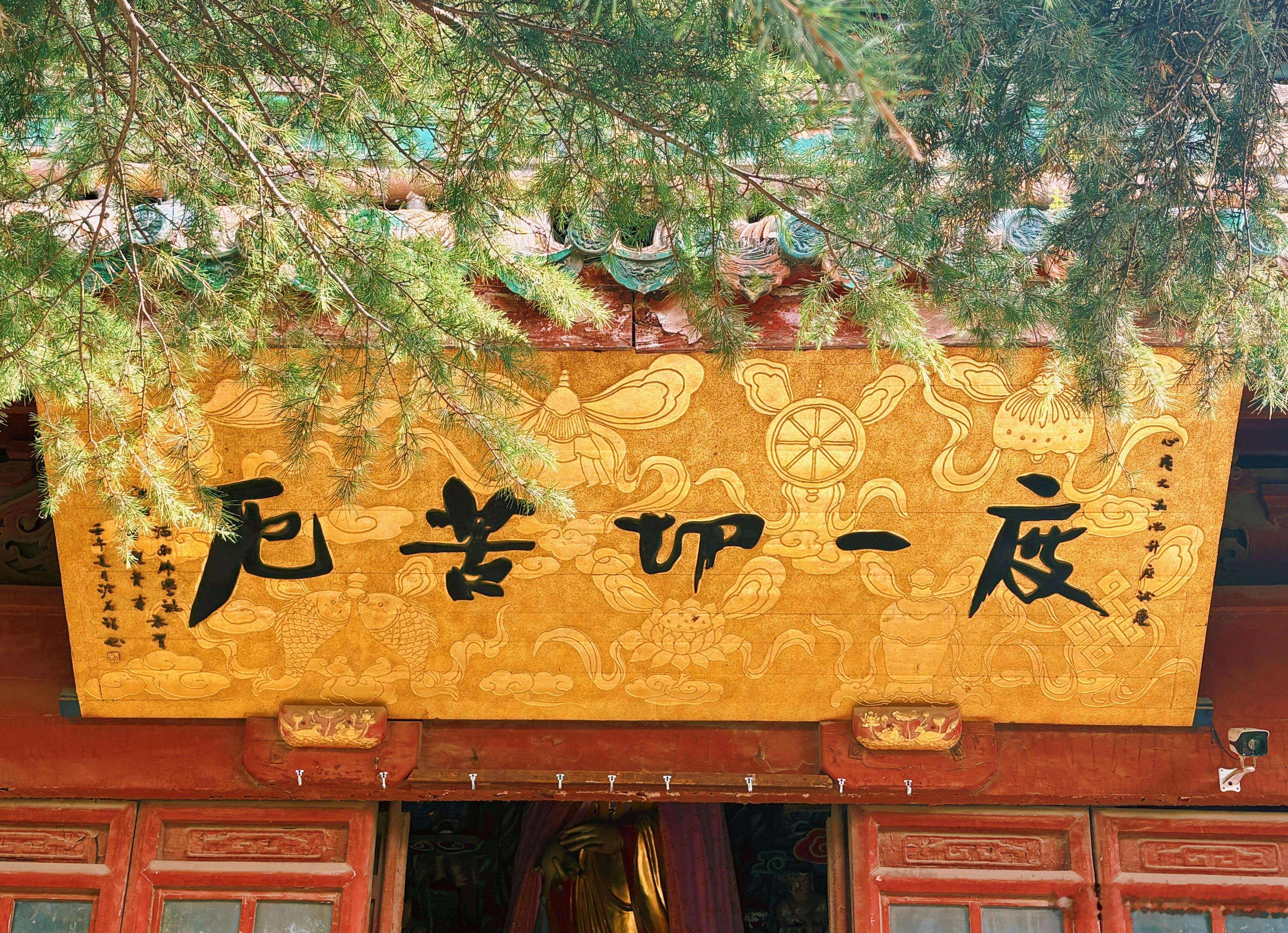 火车上无聊玩一款预防老年痴呆的游戏从开封到洛阳坐的我屁股蛋子疼 