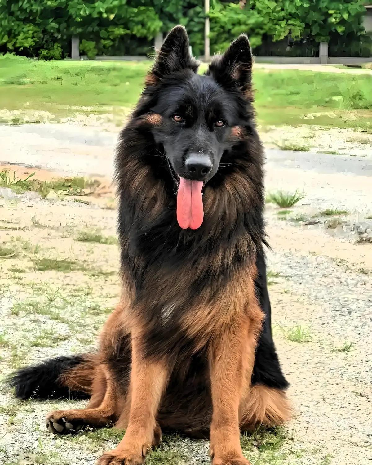 谁能想到，服务区休息的十分钟，竟让六旬老人面临终身残疾的风险！山东杨女士一家春节