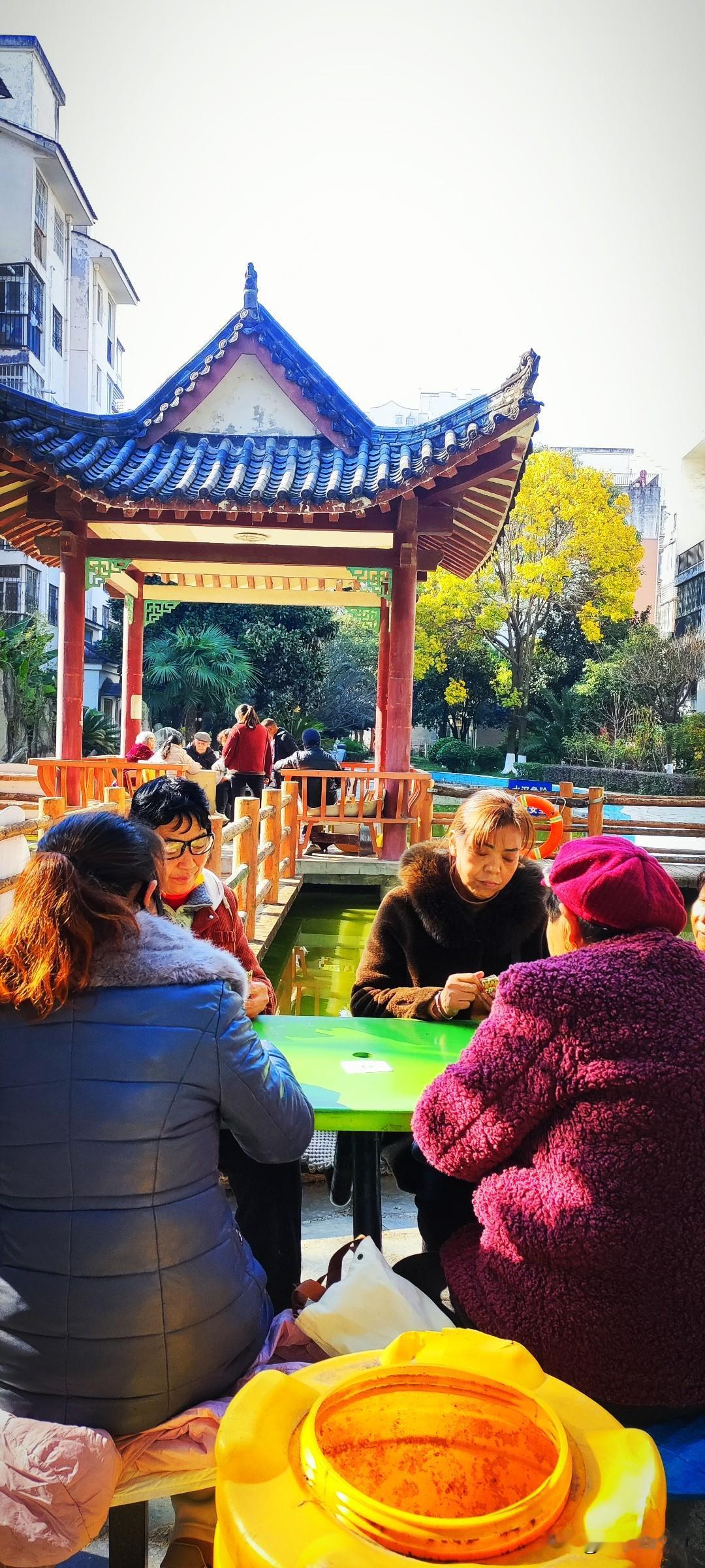 冬日生活打卡季两点出门，小区里的小公园里，老太太们也不午休一会儿...突然觉得：