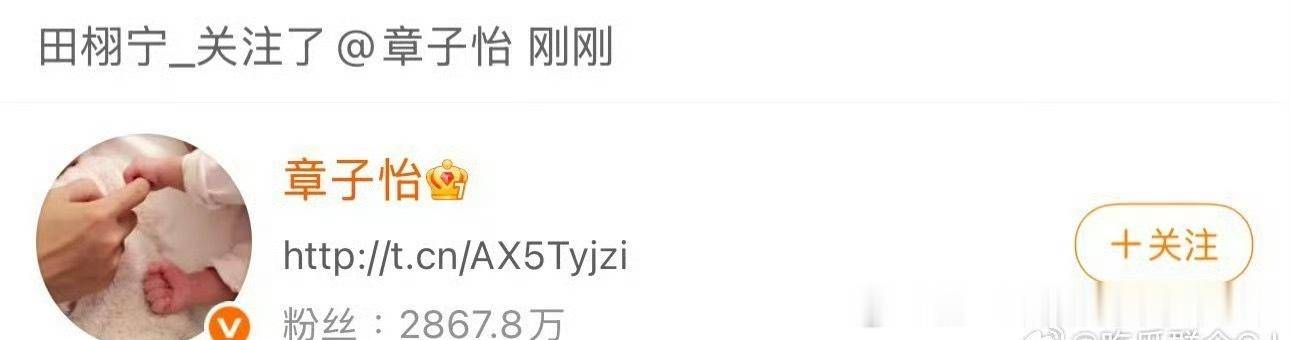 网传田栩宁即将进组参演章子怡导演首作刚刚章子怡关注了田栩宁，田栩宁上线回关了 
