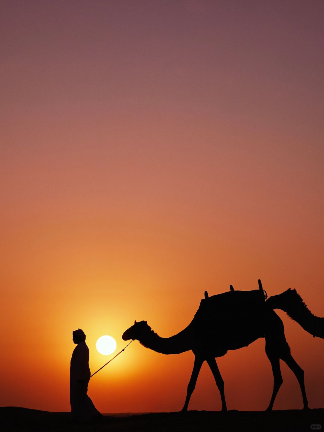 迪拜冬日探险！用新年点亮梦幻旅程
迪拜，沙漠明珠般的城市，充满现代化的建筑、奢华...