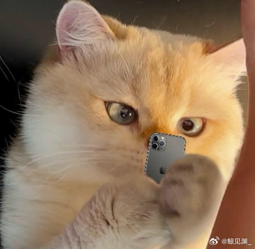老辈子没想到有天能和机器人下棋 街头棋盘见证了老辈子大半辈子的爱好，如今对手换成