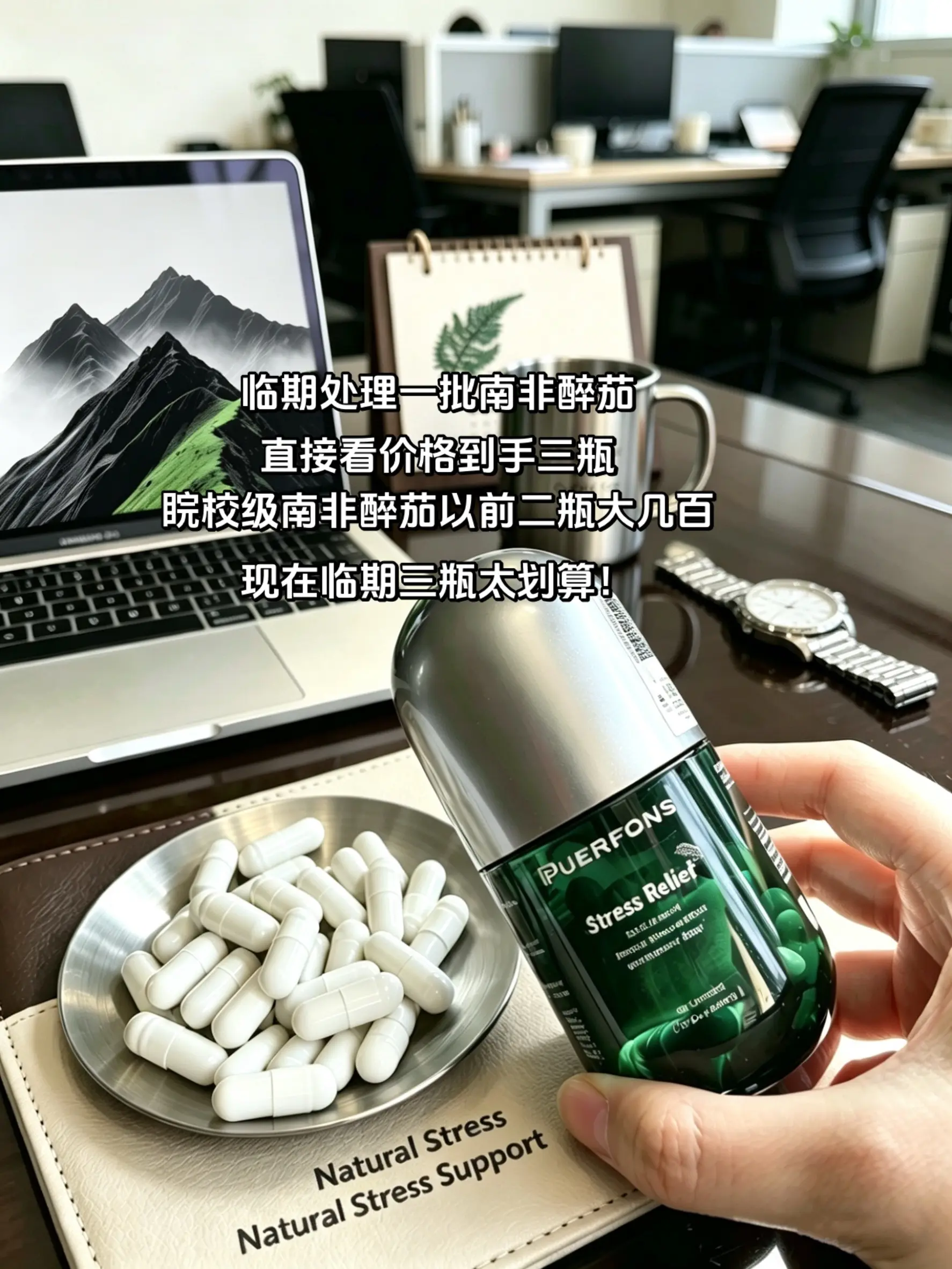 临期处理一批南非醉茄