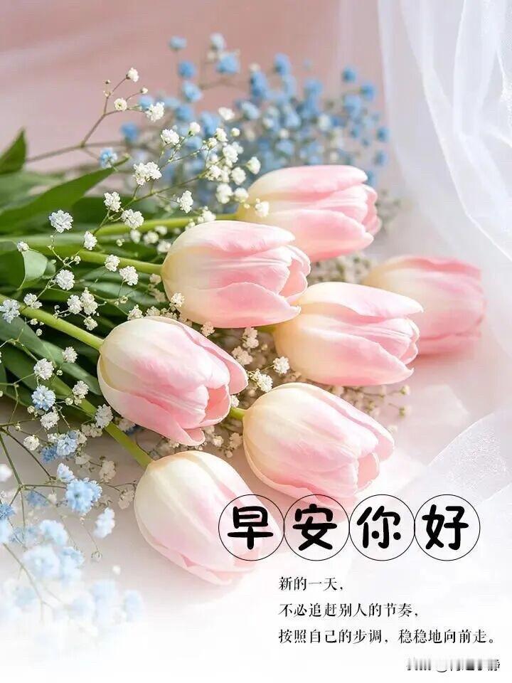 🌼²⁰²⁶/₀₈.₀₃ᵕ̈ 周一｜新周快乐☀️🍃🍒🍑☕️
晨光漫过盛夏晨