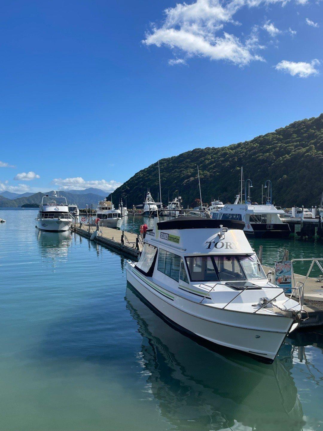 生活手记旅程第七天，到达Picton,新西兰南岛和北岛连接枢纽，一个海滨小镇，碧