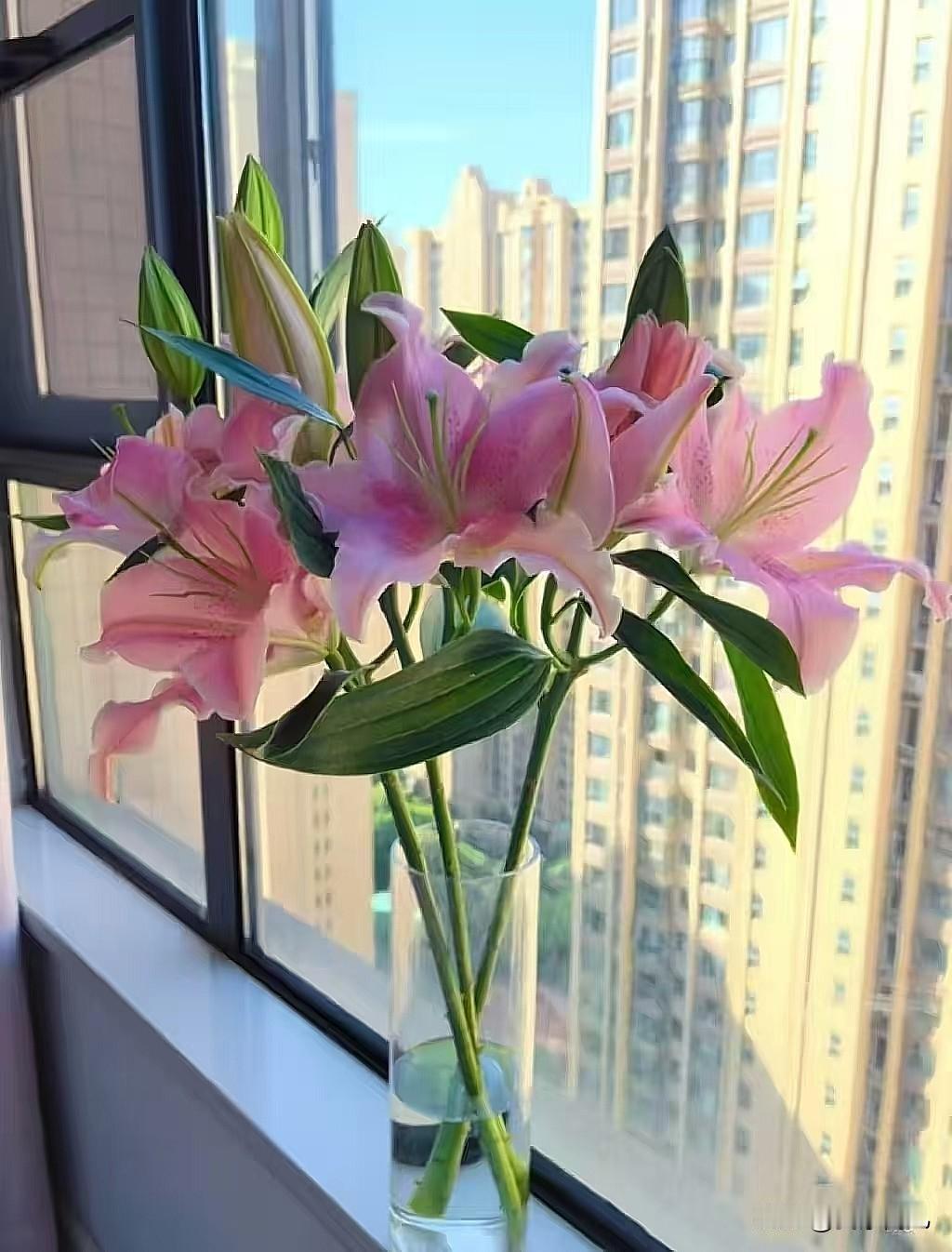 不要因为别人的一句话，
丢掉一整天的快乐。
不要拿自己的幕后生活，
和别人的精彩