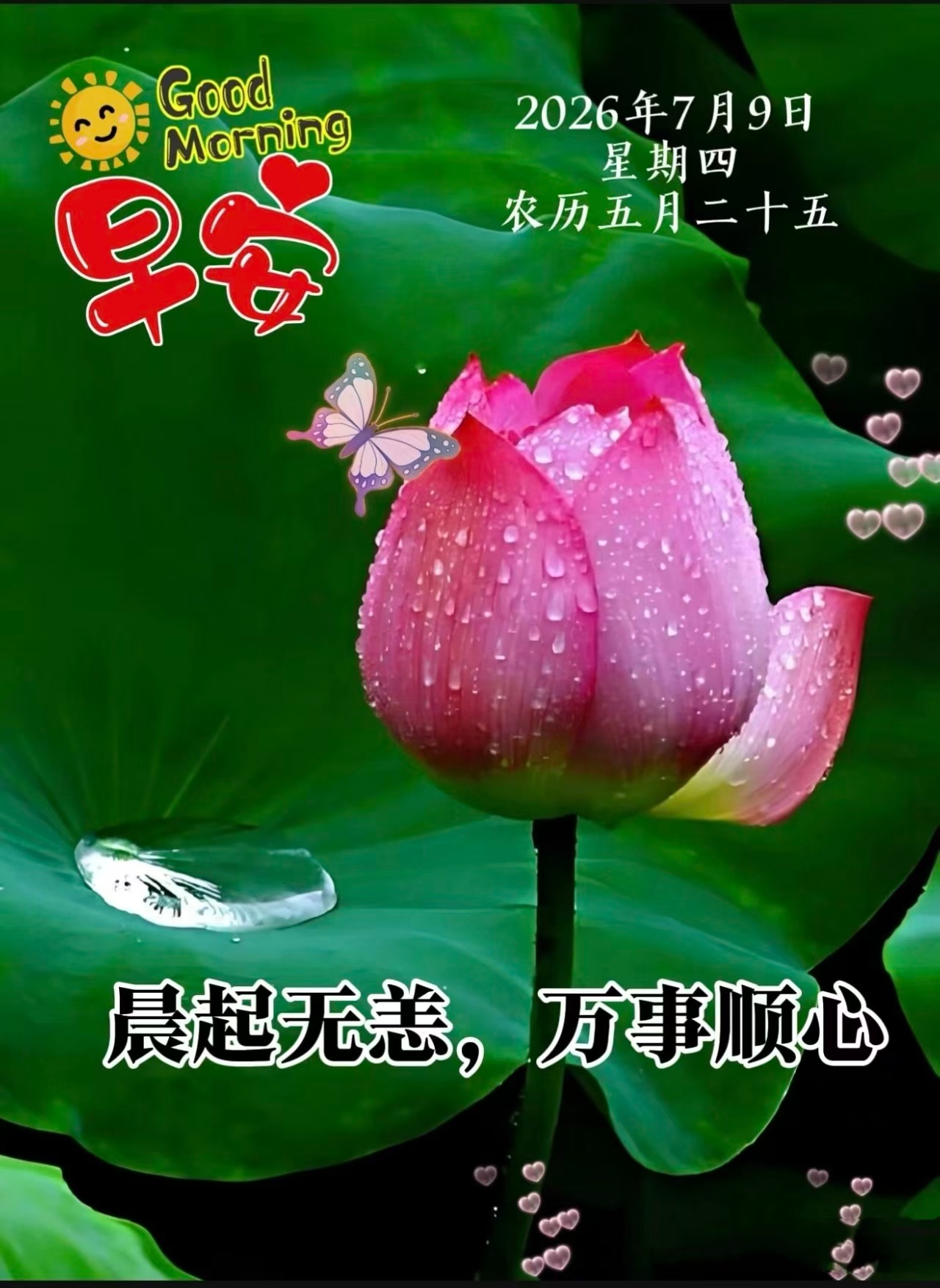 ☀️²⁰²⁶/7. 9. 五月廿五🏡💝周四愉快，如意安康！💞💐晨光漫过窗