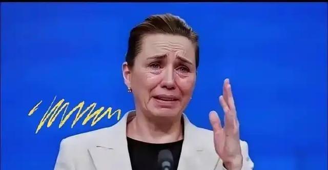 丹麦政府痛恨中国，丹麦的外交大臣拉斯穆森曾经表示，过去不允许中国对格陵兰岛投资，