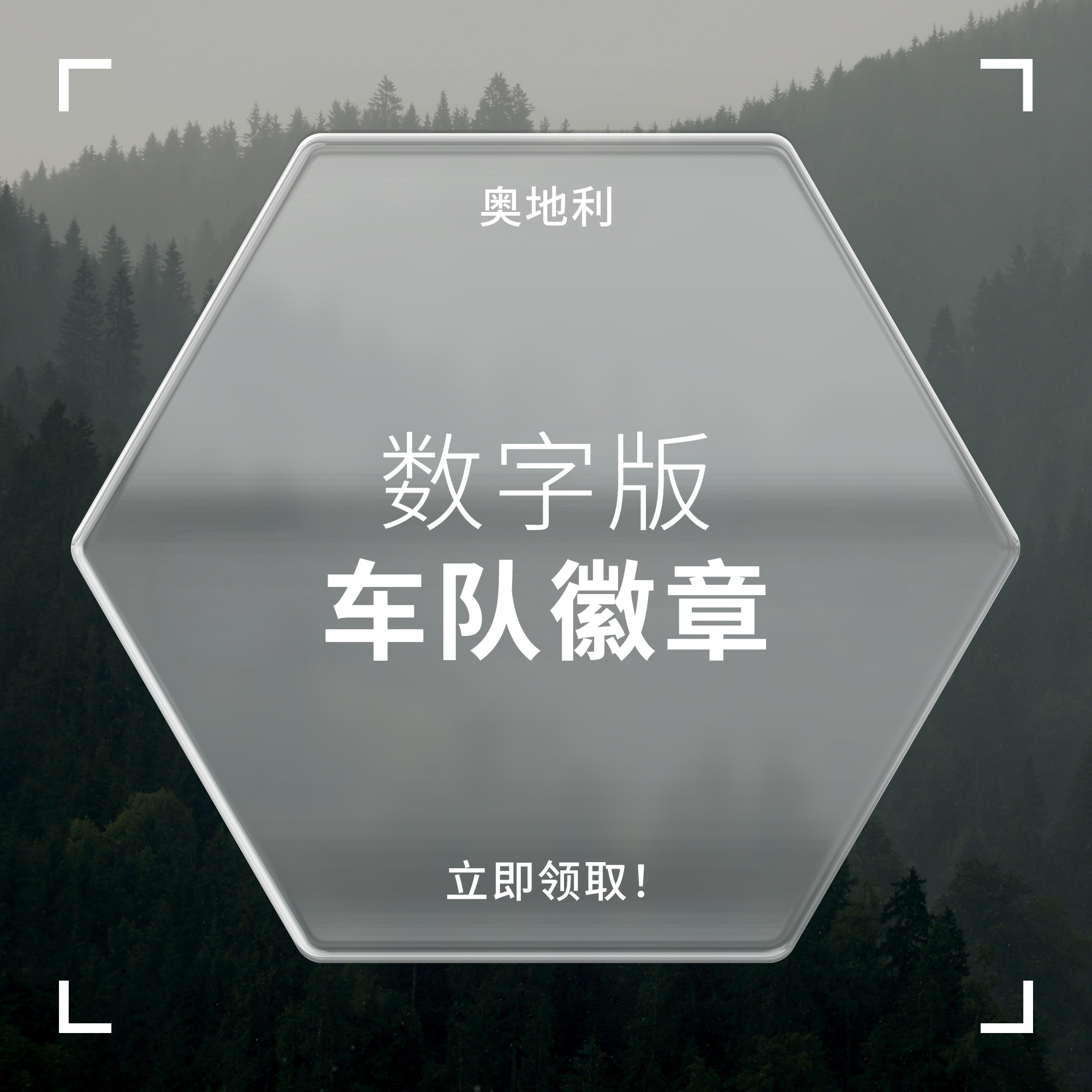 我们的奥地利大奖赛车队徽章上线啦🤩抓紧机会即刻加入收藏吧！网页链接