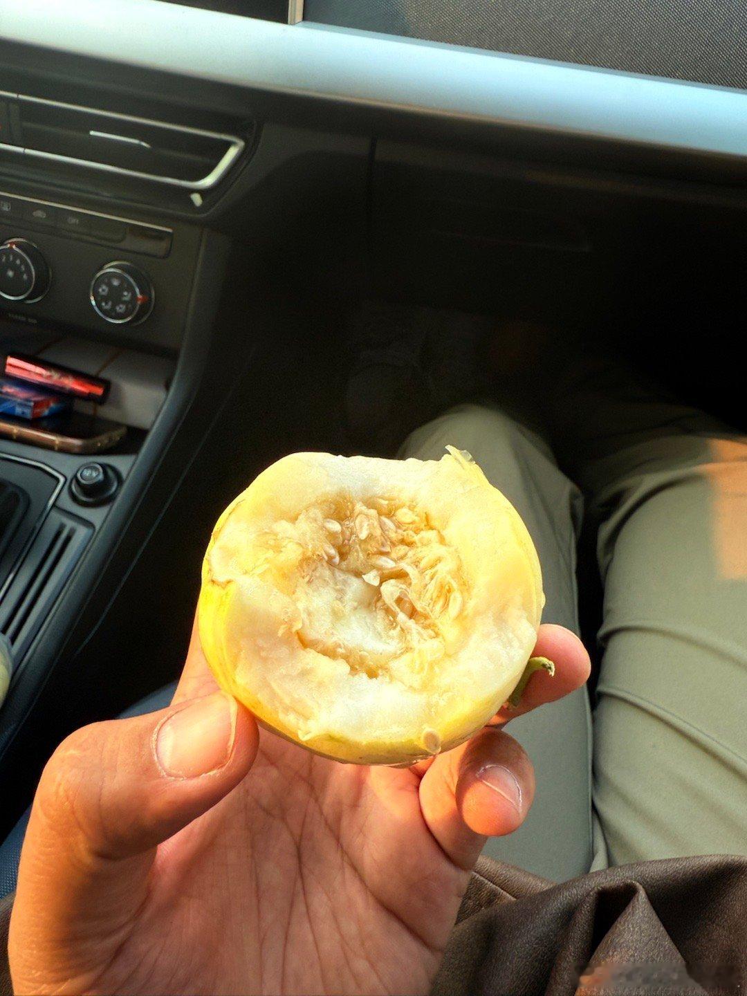只有东北的小孩才会知道这个香瓜🍈多好吃[嘻嘻]  ​​​