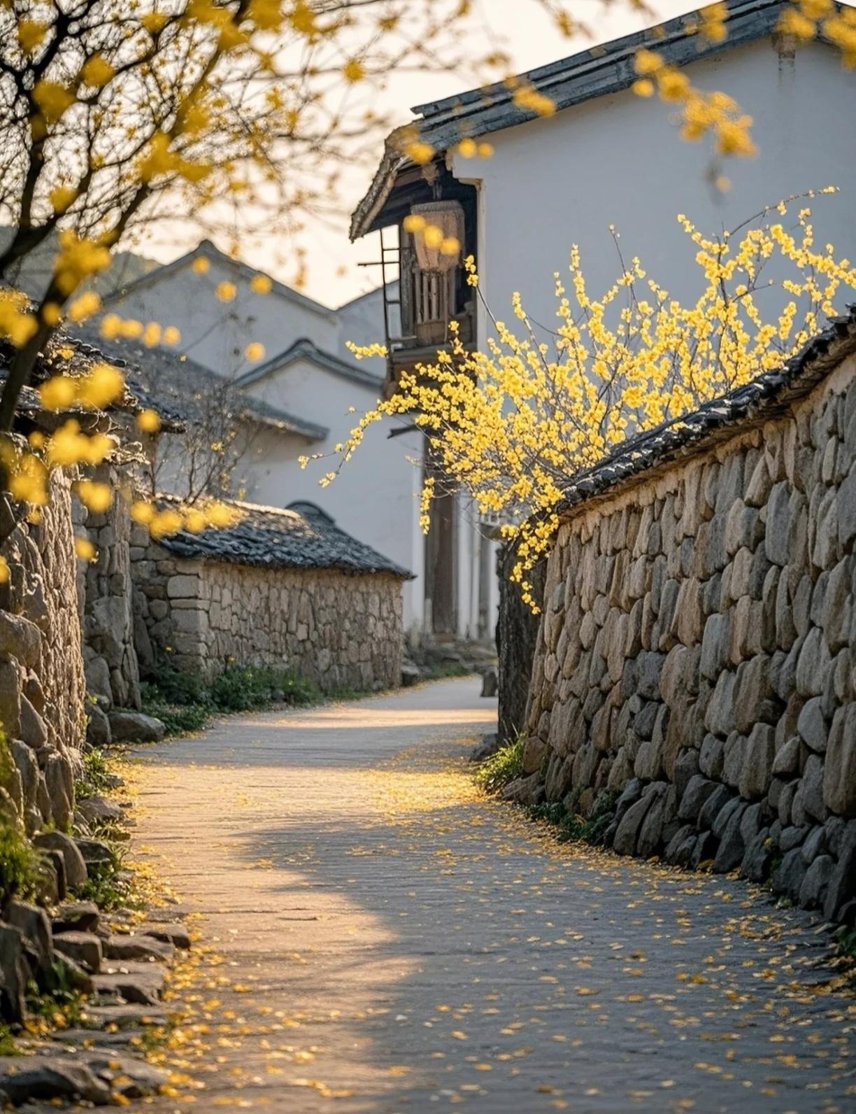 在村里过日子千万别说太多，特别是住娘家。刚才去小卖部给我爸买烟，老板娘特别心疼的