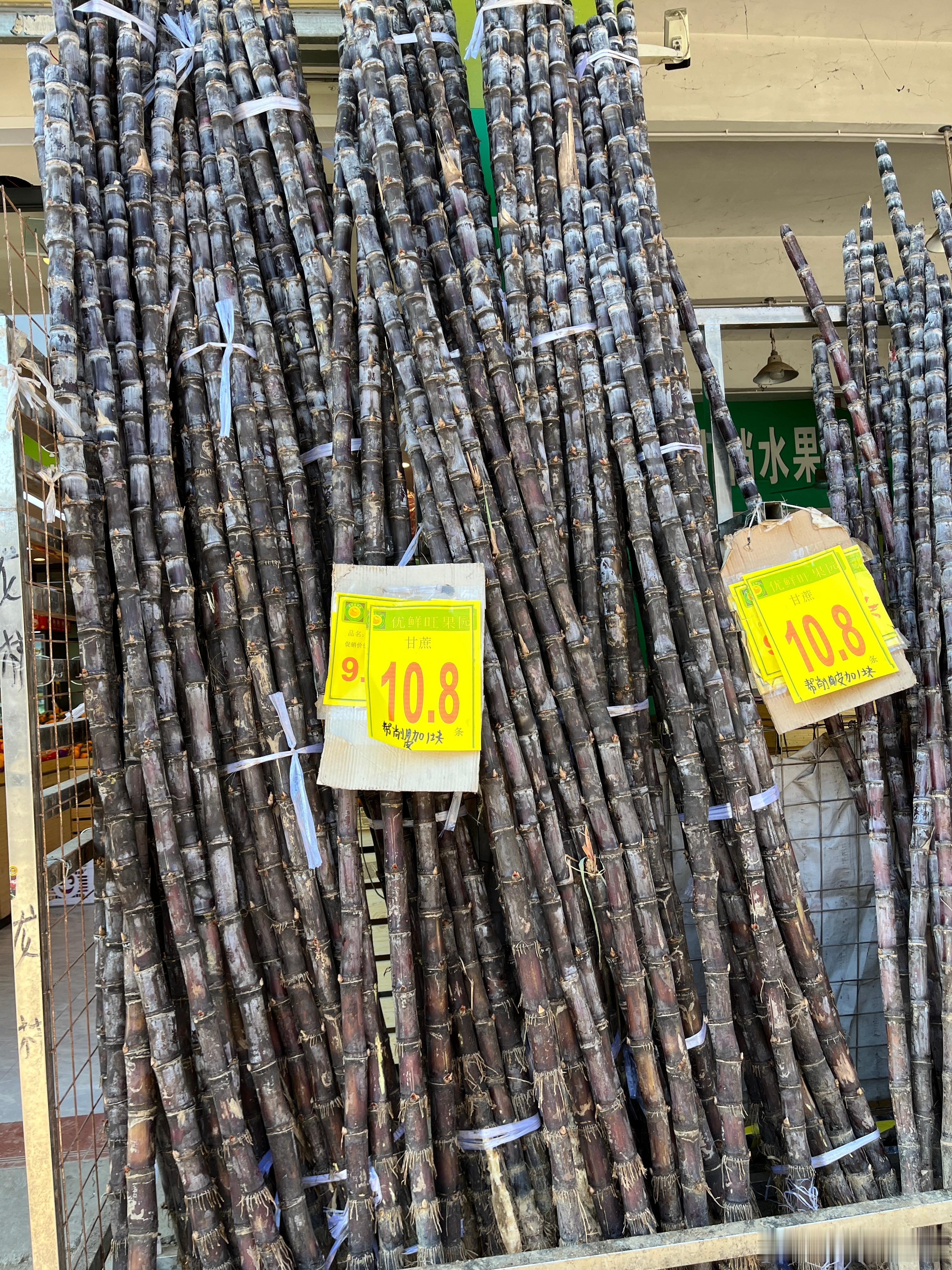 公园回来看到卖甘蔗的，好久没吃了，来买一根，你们那边是多少钱一根，这里10.8，