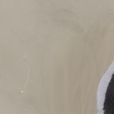 心心念念的古平原[抱一抱]，到了[送花花][比耶] ​​​