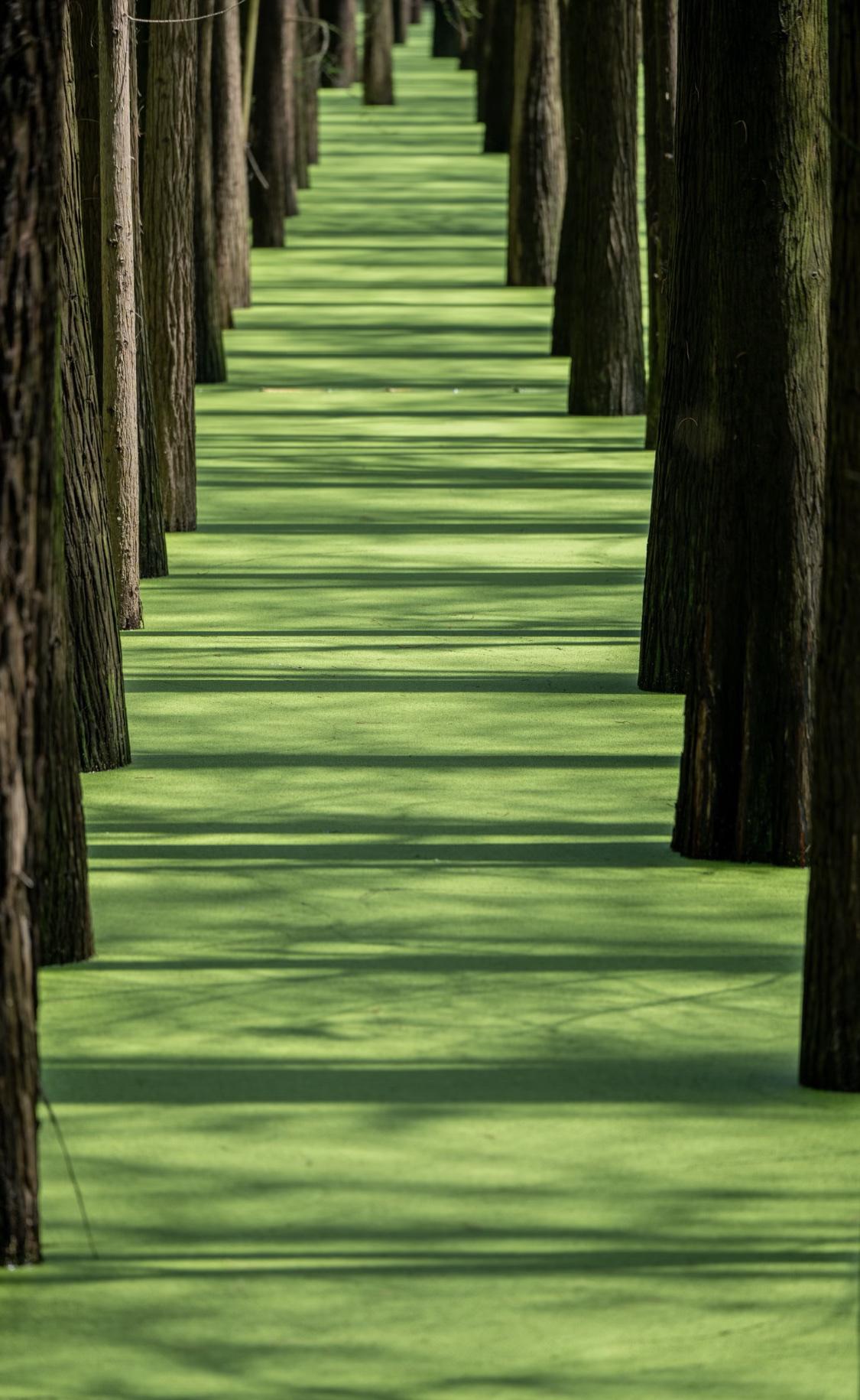 人一定要大量读书！

我发现长期读书的人都有一个共性：内心有光，脚下有路。

托