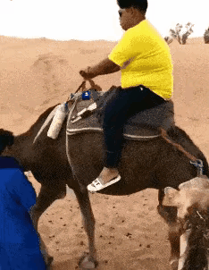 不加钱这活我都不能接！