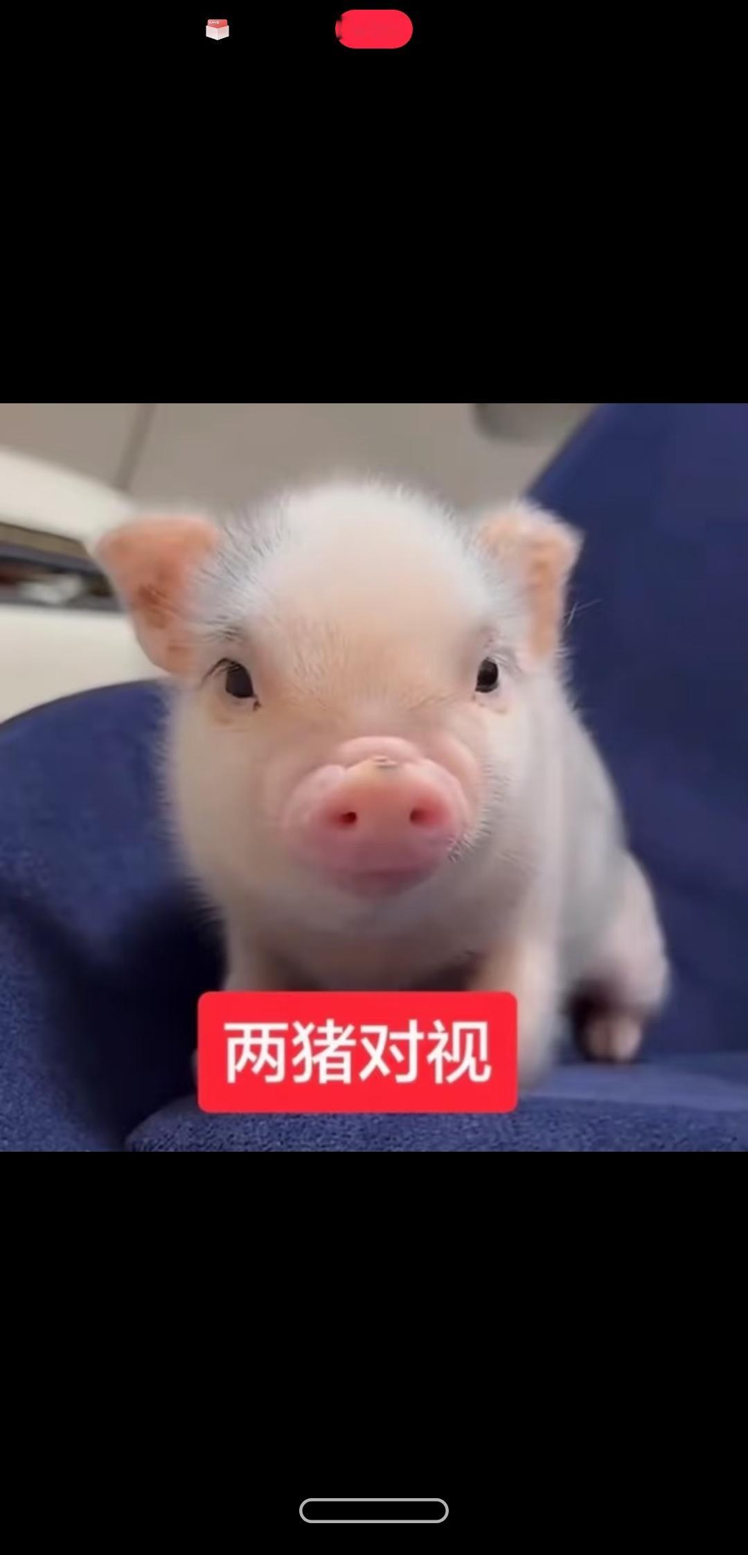 我的互关都过来 