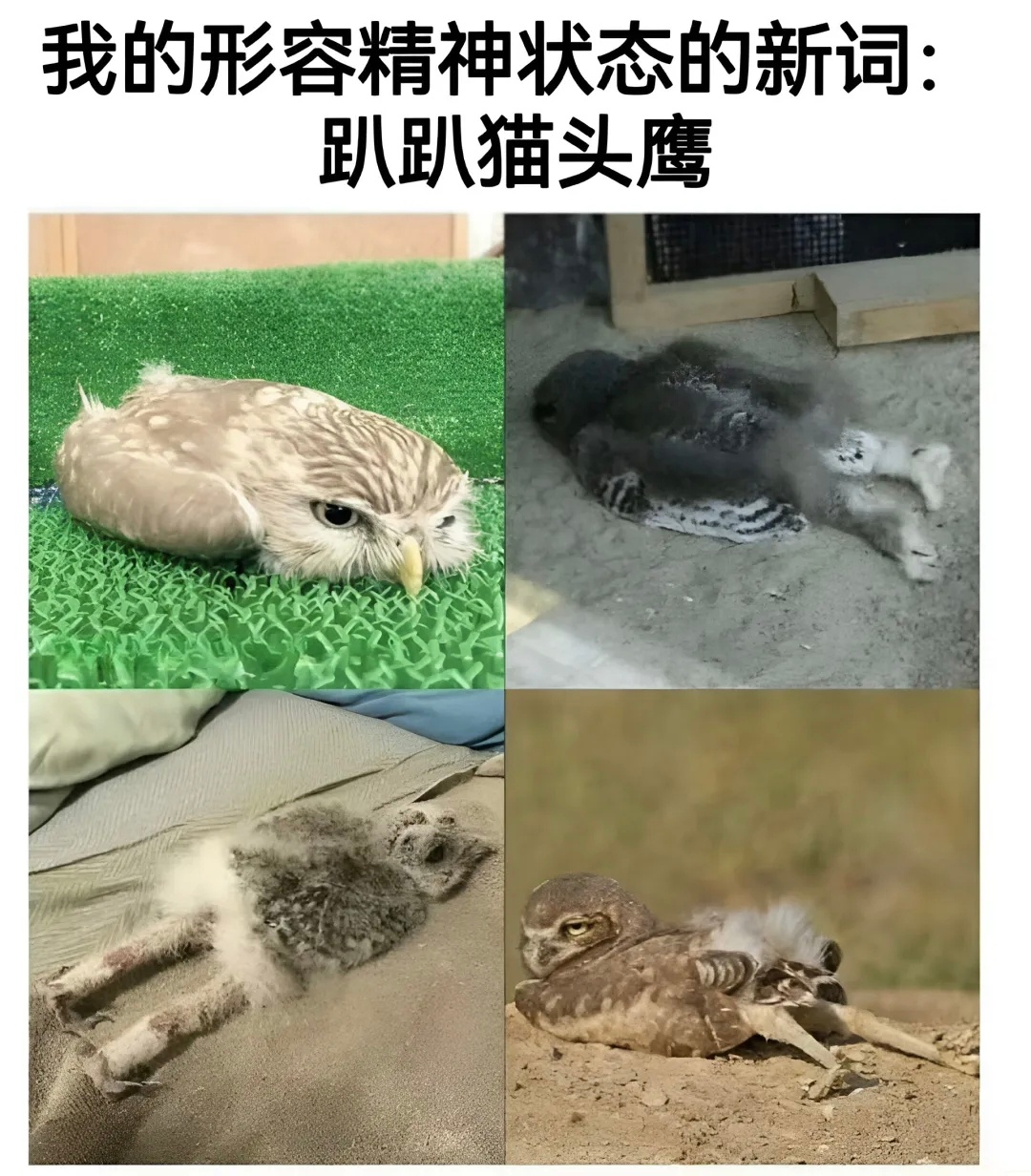 我每天的精神状态： 