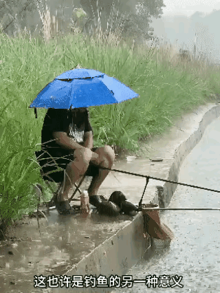 钓鱼佬的执着
无论刮风下雨
都会悄然而至