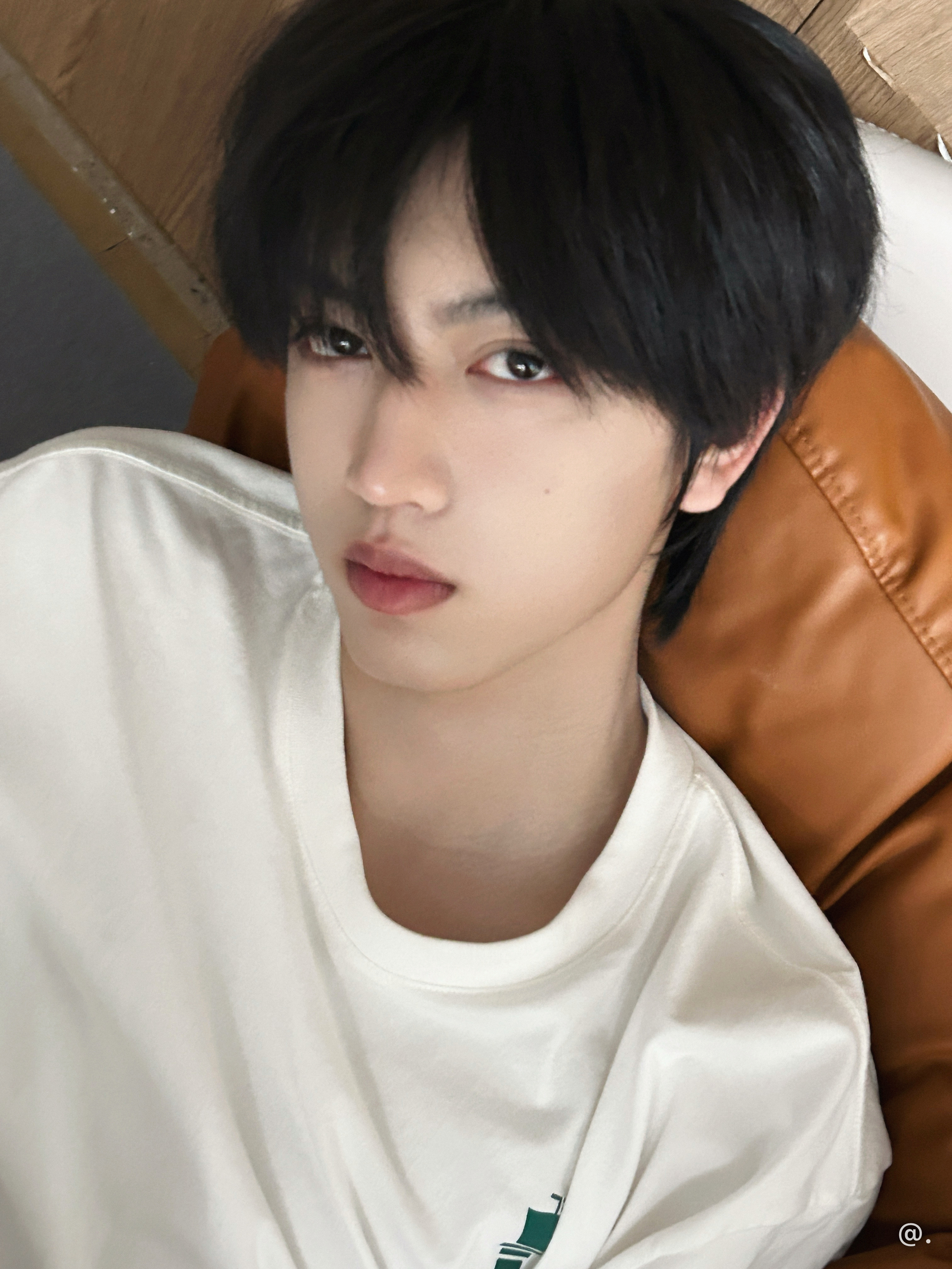 湿漉漉小狗眼 