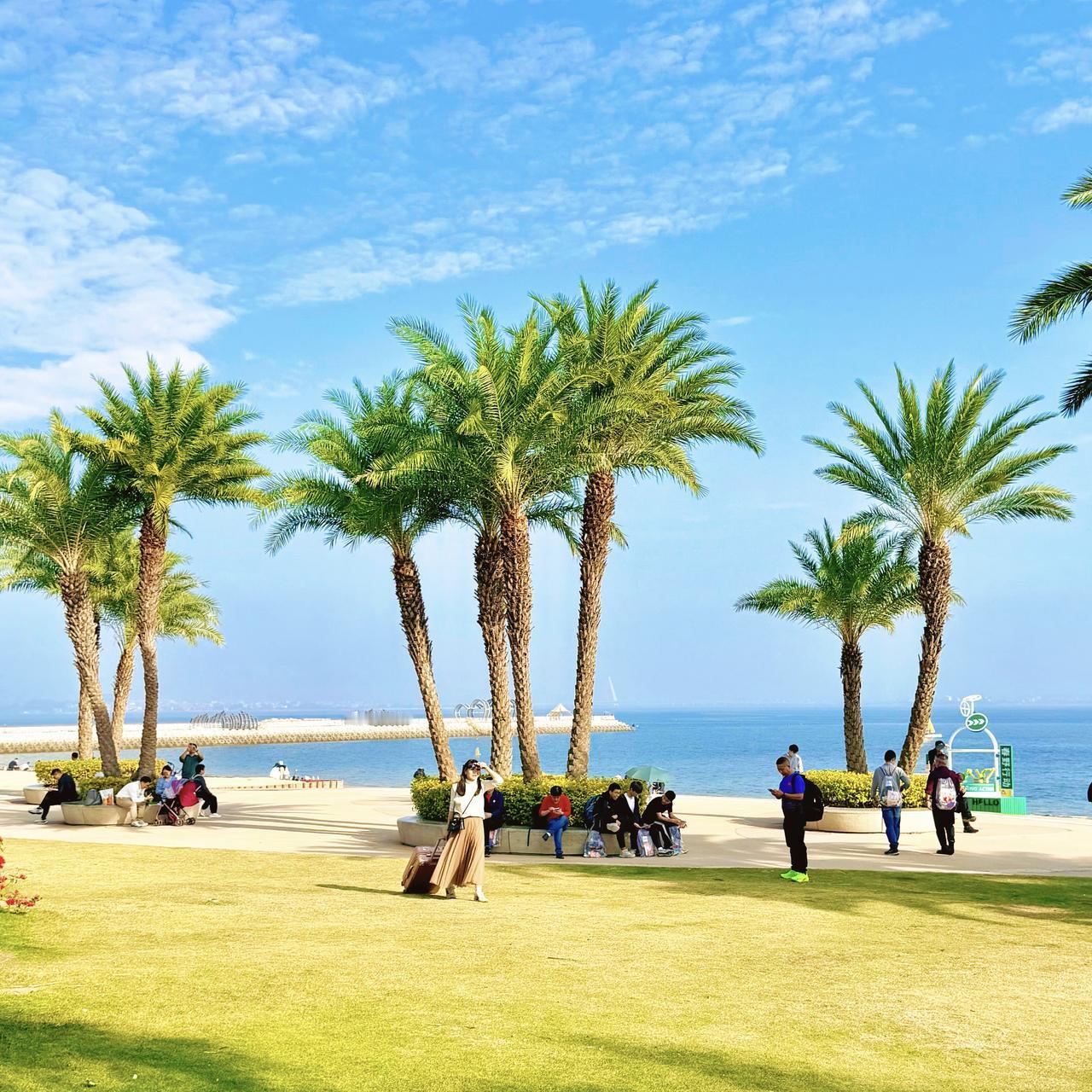 别再一窝蜂地往厦门环岛路挤啦！厦门那些绝美小众海滩，其实藏在同安。
很多人来厦门