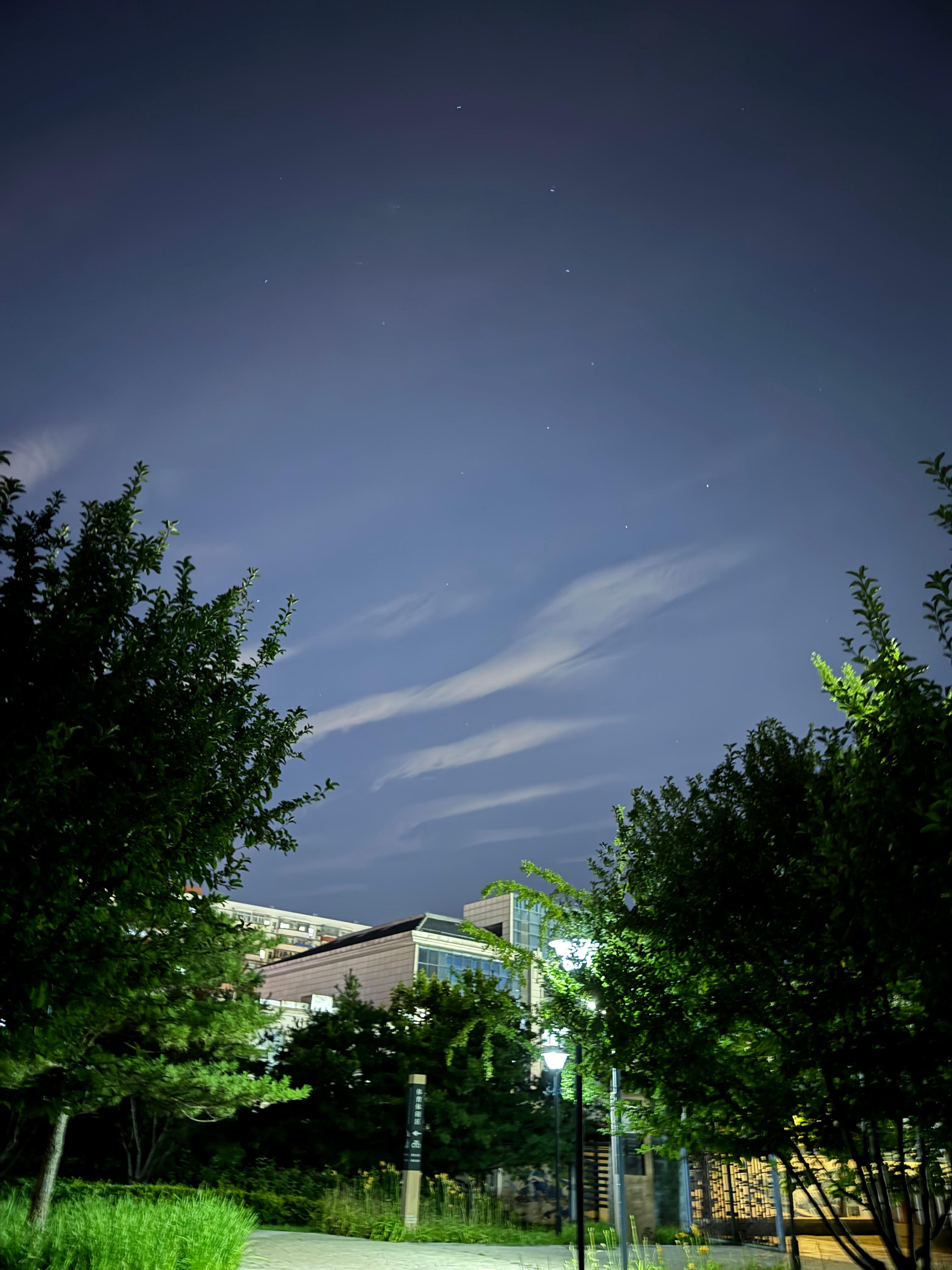 七猪连星（不 