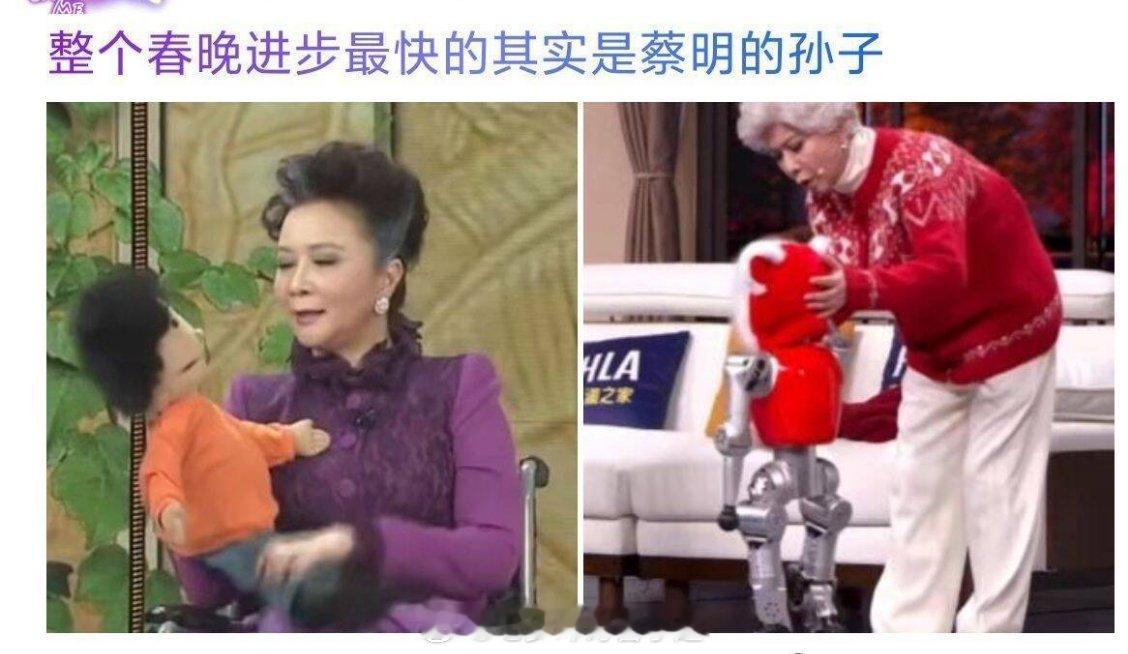 菜菜子见证历史 春晚