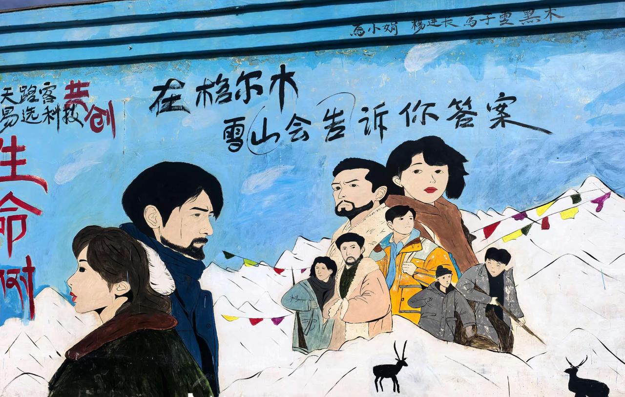 生命树观后感：反腐利剑高悬，英雄精神永存
 
《生命树》以高原生态守护为底色，将