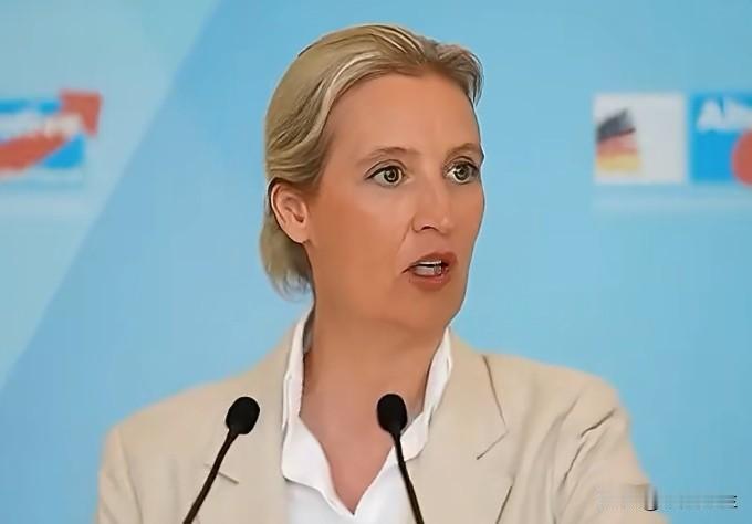 德国选择党领袖魏德尔批评总理默茨上任一年来毁掉了国家财政，将特别债务中的九成挪用