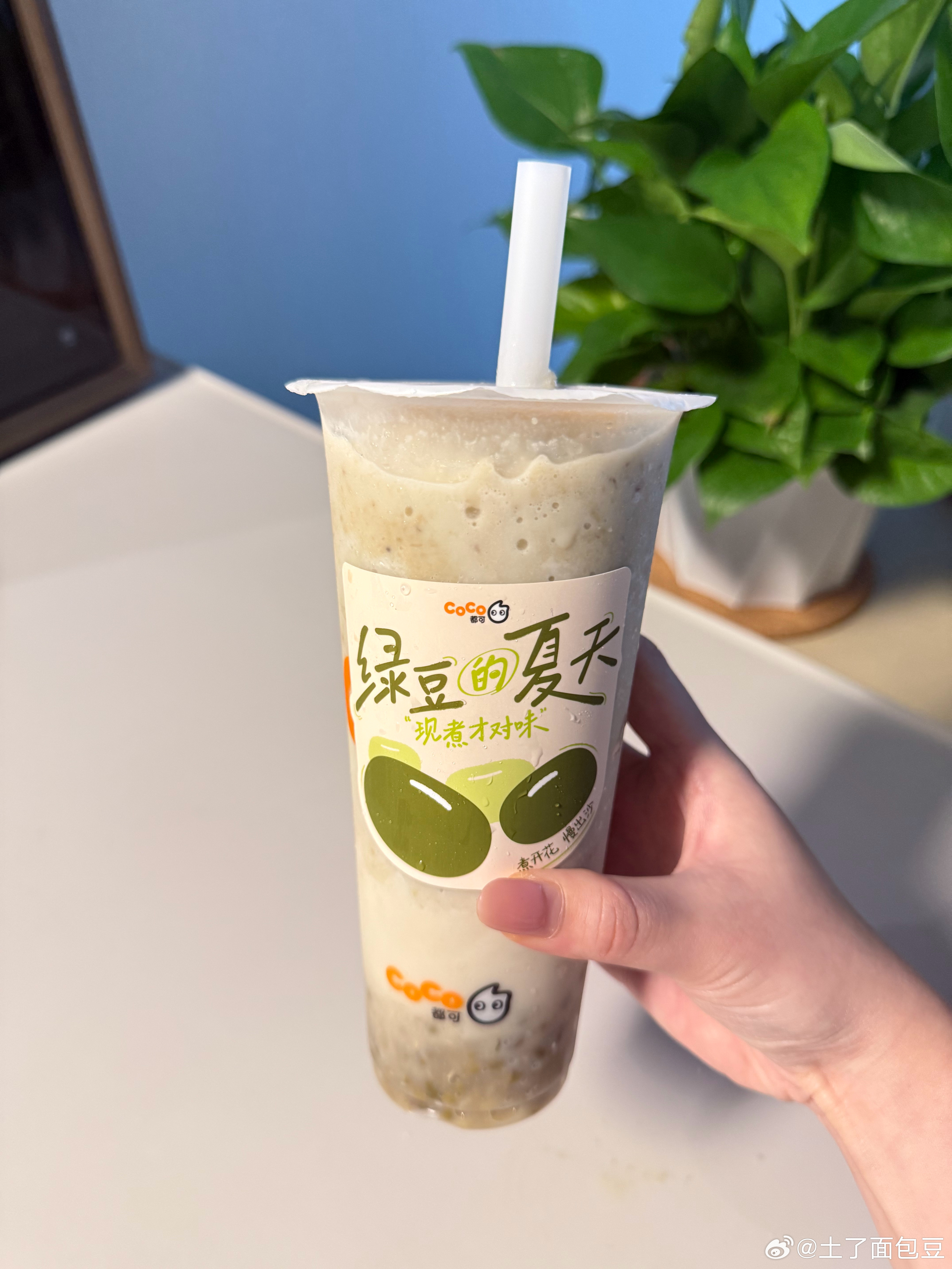 白月光回归
