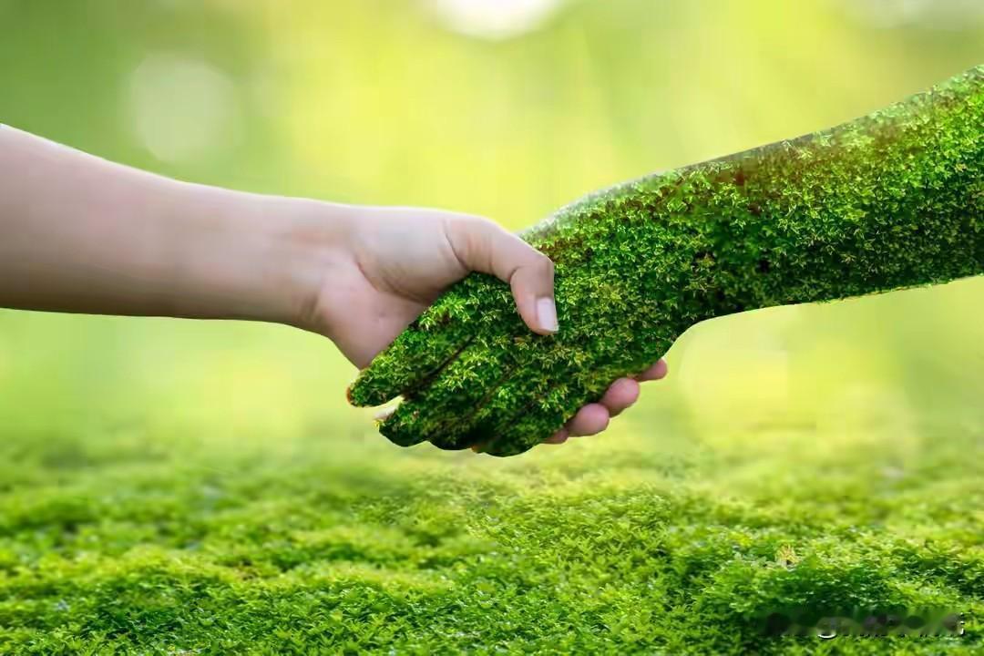 在头条写了一篇21万阅读的文章，结果让人心寒！

前天写了一篇文章，发布后竟无法