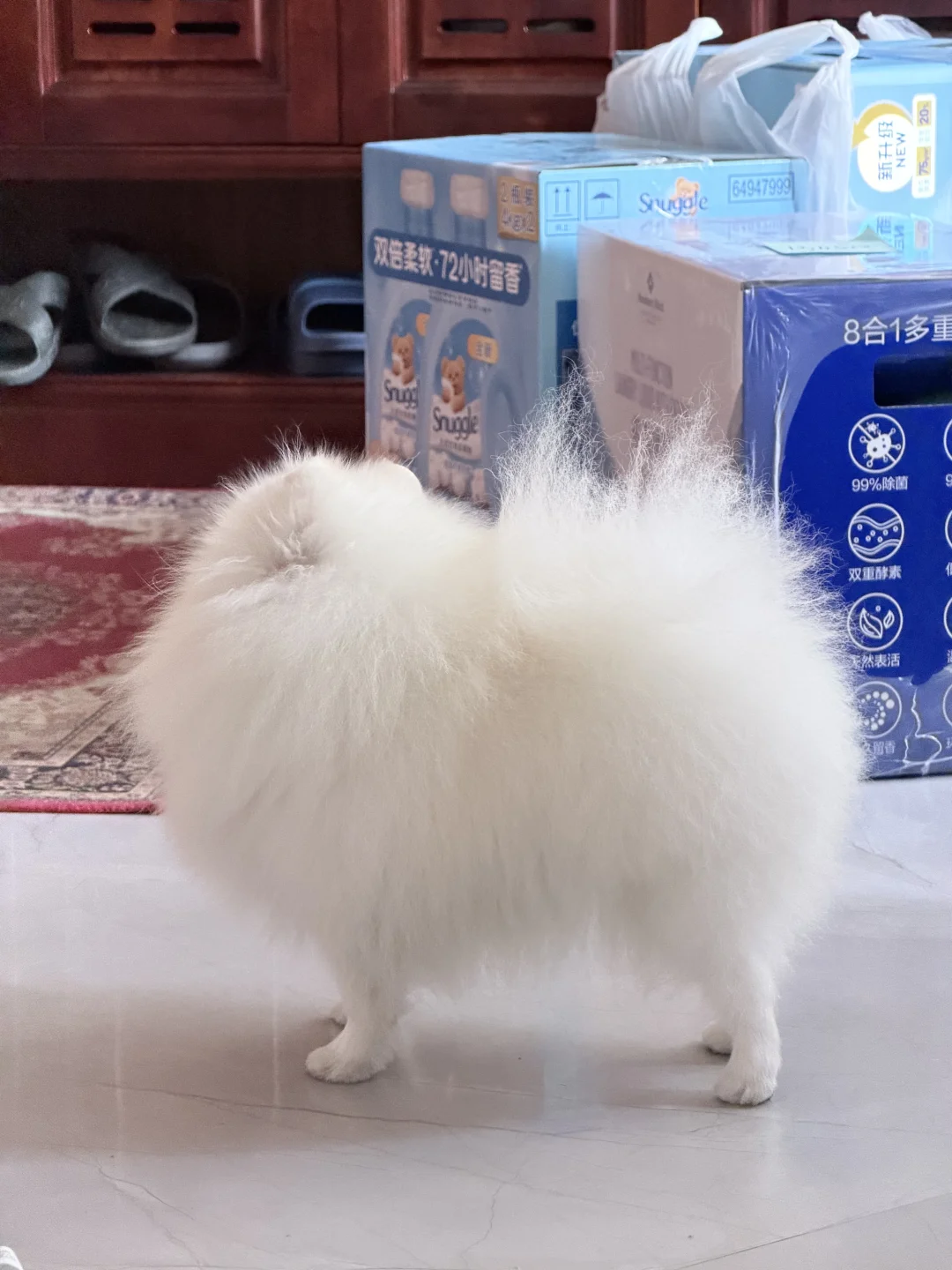 不懂就问 头在哪边？