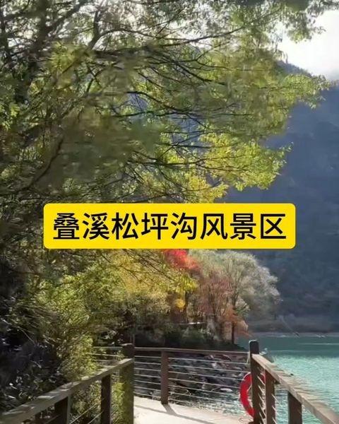 追着红叶去旅行静心聆听享受一下片刻的宁静景区自驾赏自然风光大山深处自然美风景名胜