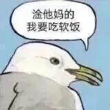 我的人生表情包 #表情包# ​​​