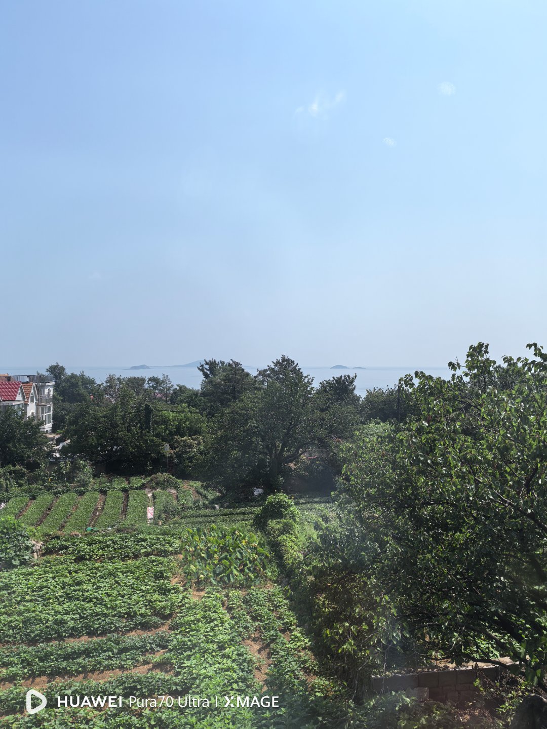 分享图片  ​​​