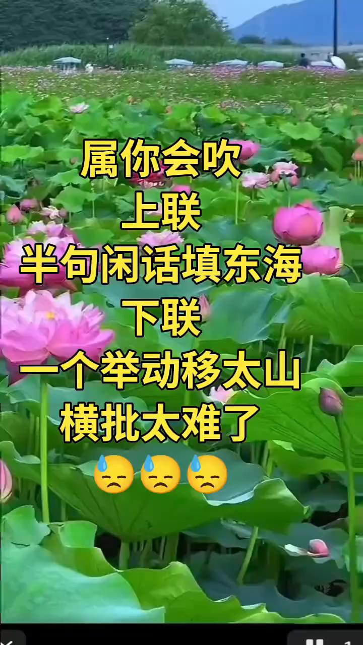 属你会吹。
上联：半句闲话填东海。下联：一个举动移太山。横批：太难了。