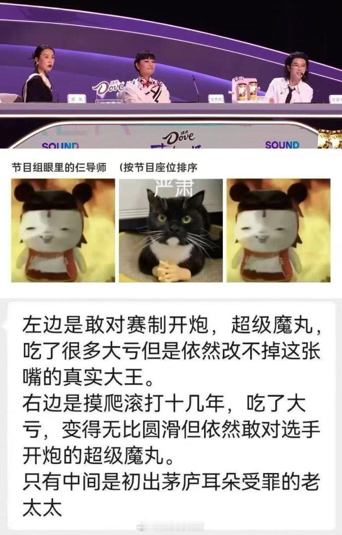 《声鸣远扬》总决赛，何老师笑容“大起大落”，被那姐整得“我太难了”！