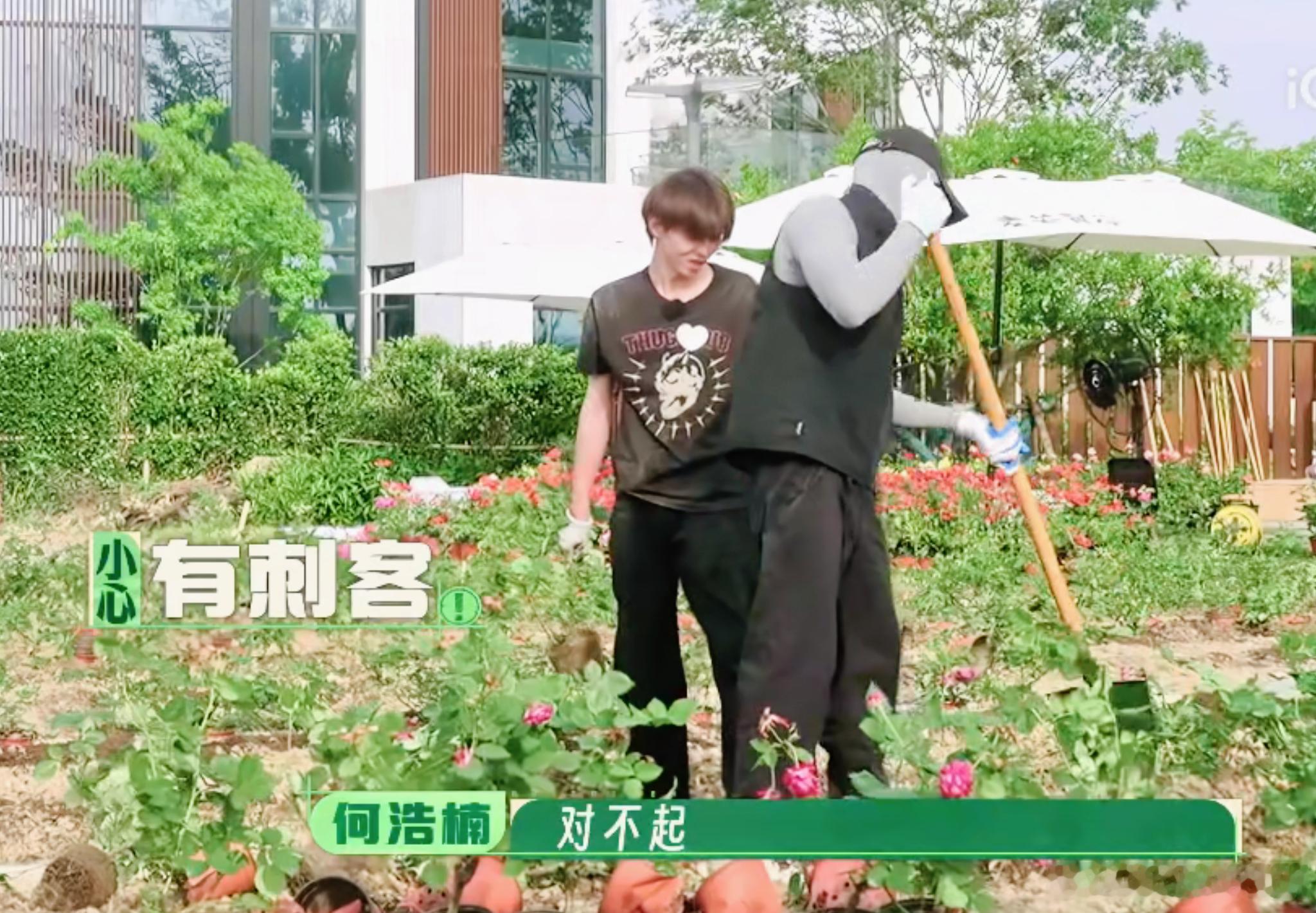 种地吧天选搭子含金量看种地吧之前：种玫瑰应该很浪漫吧。看种地吧之后：买现成的也挺