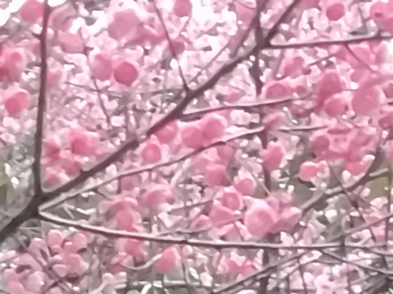 踏步春天的芬芳，迎接春天的阳光;开启春天的希望，送上春天的吉祥。愿大地春暖花开，