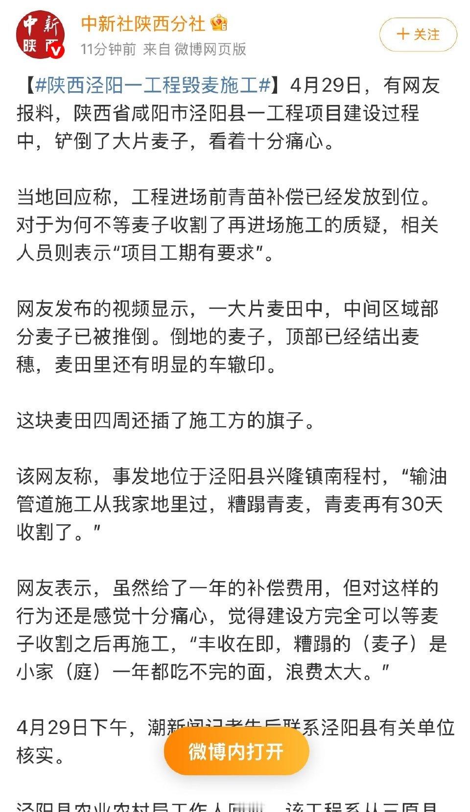 【陕西泾阳一工程毁麦施工】4月29日，有网友报料，陕西省咸阳市泾阳县一工程项目建