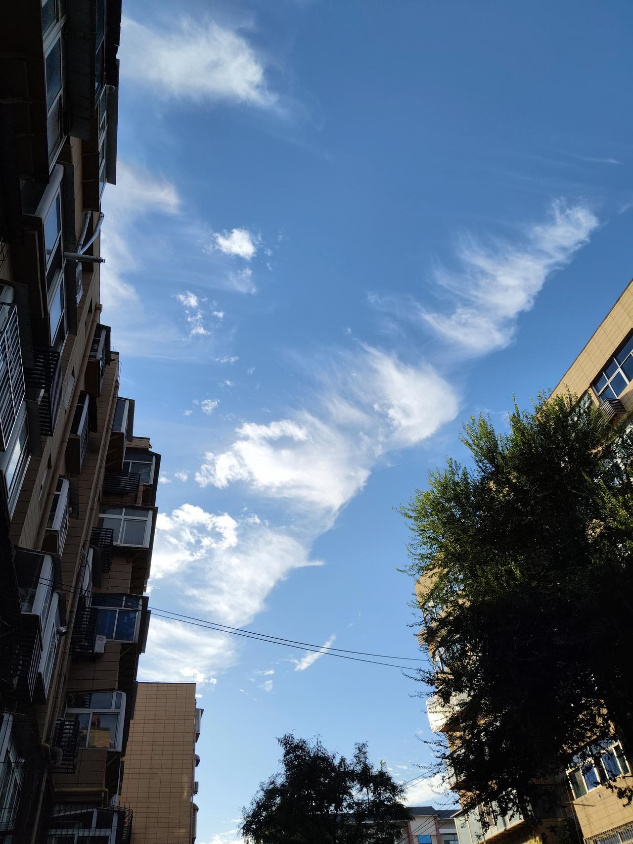 国庆节快乐抓拍，这是从外边回家到楼道门口，天空突现奇云，东西南北方向都有。

蓝