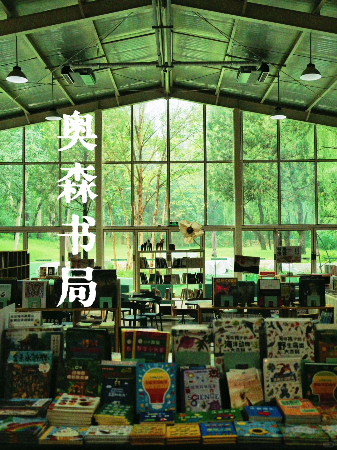 雨天不妨去森林里读书｜奥森书局打卡