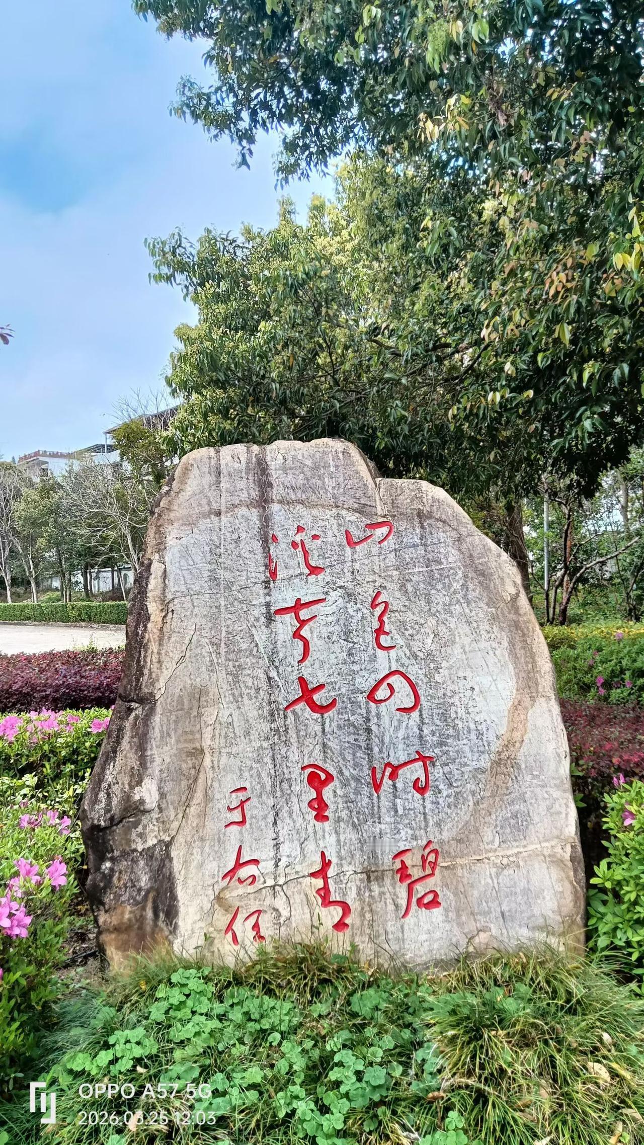 韩吉祥：
三百山风景服务区。
​一条道路一侧的花草丛中，静立着一块刻有国民党元老