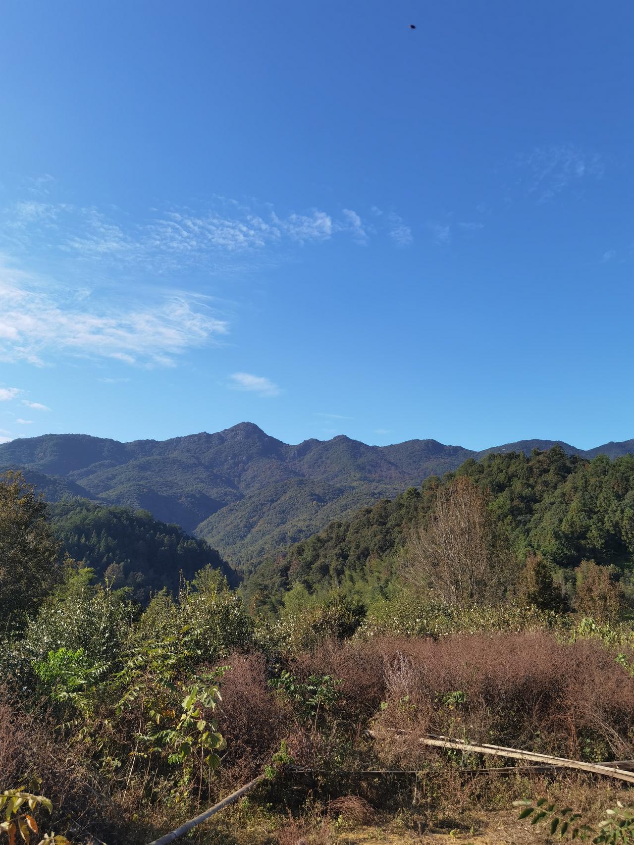 今天的4万步。
早上南江滨
大乾头（洋乾中村）上金玉顶，然后向北越过2个山头。