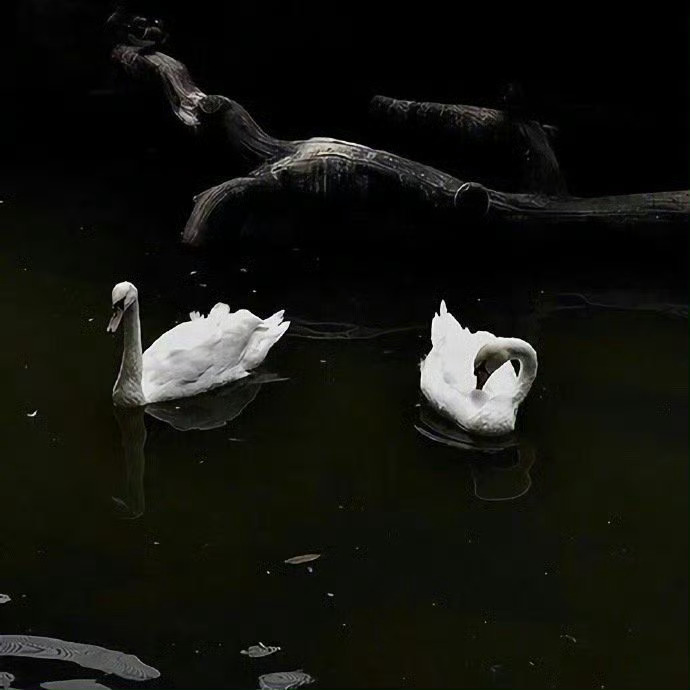 人与人之间，所谓的同频共振都是暂时的，相处久了，很多的“同频”和“共振”的感受都