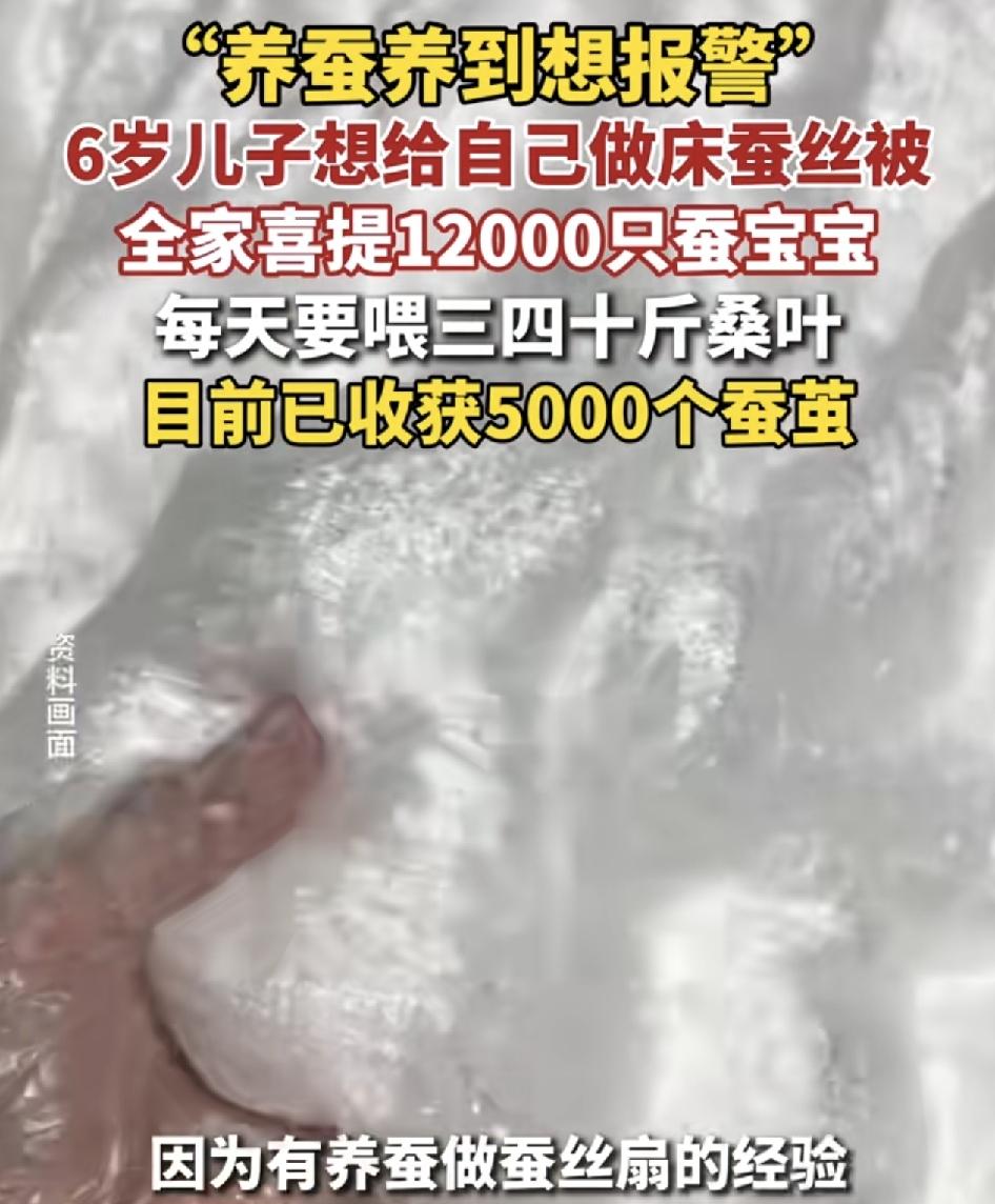 武汉一位妈妈因为6岁的儿子说想要做一床蚕丝被，这激发了她的创造力，因为自己本身就