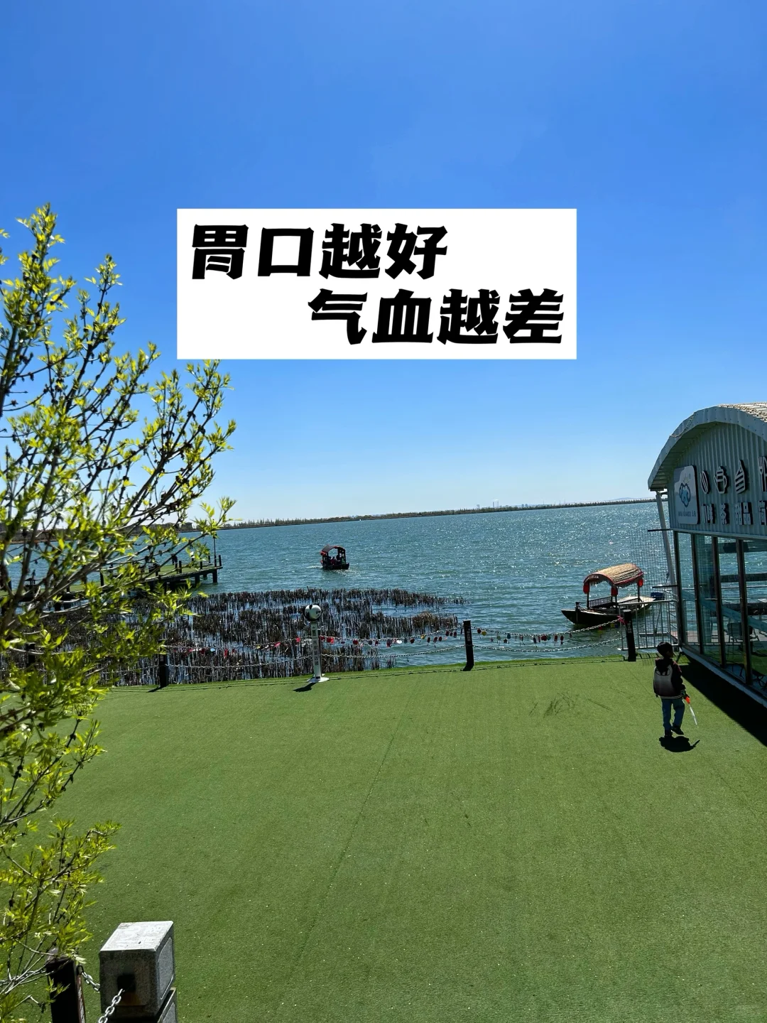 胃口越好，脾胃越差.