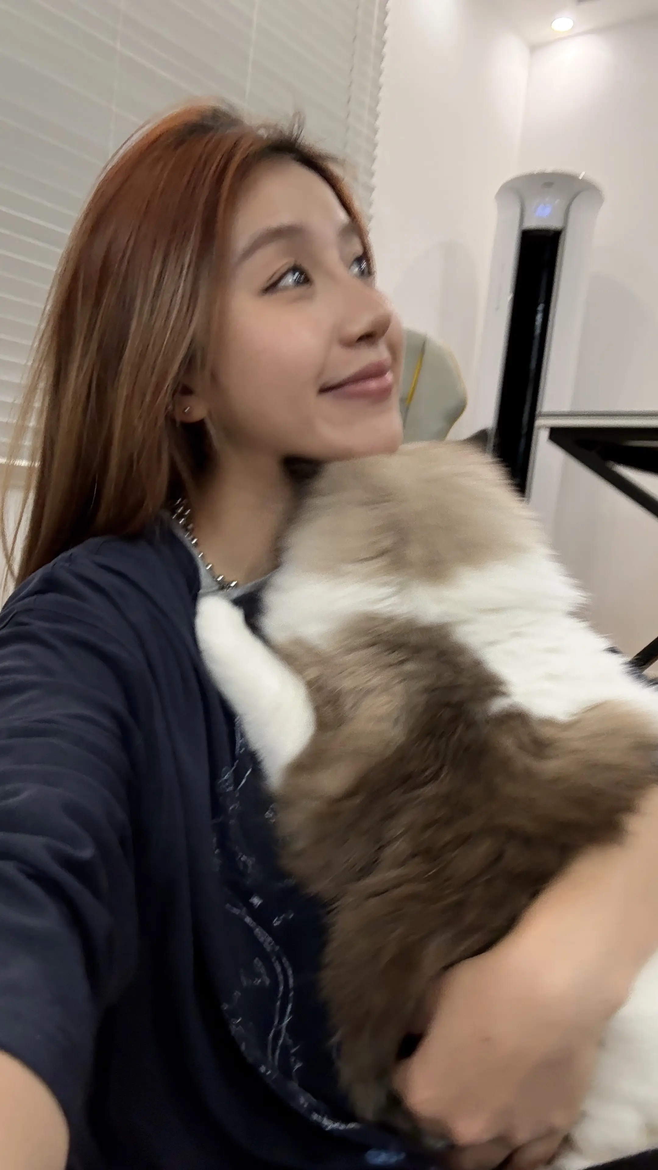 碎片🧩