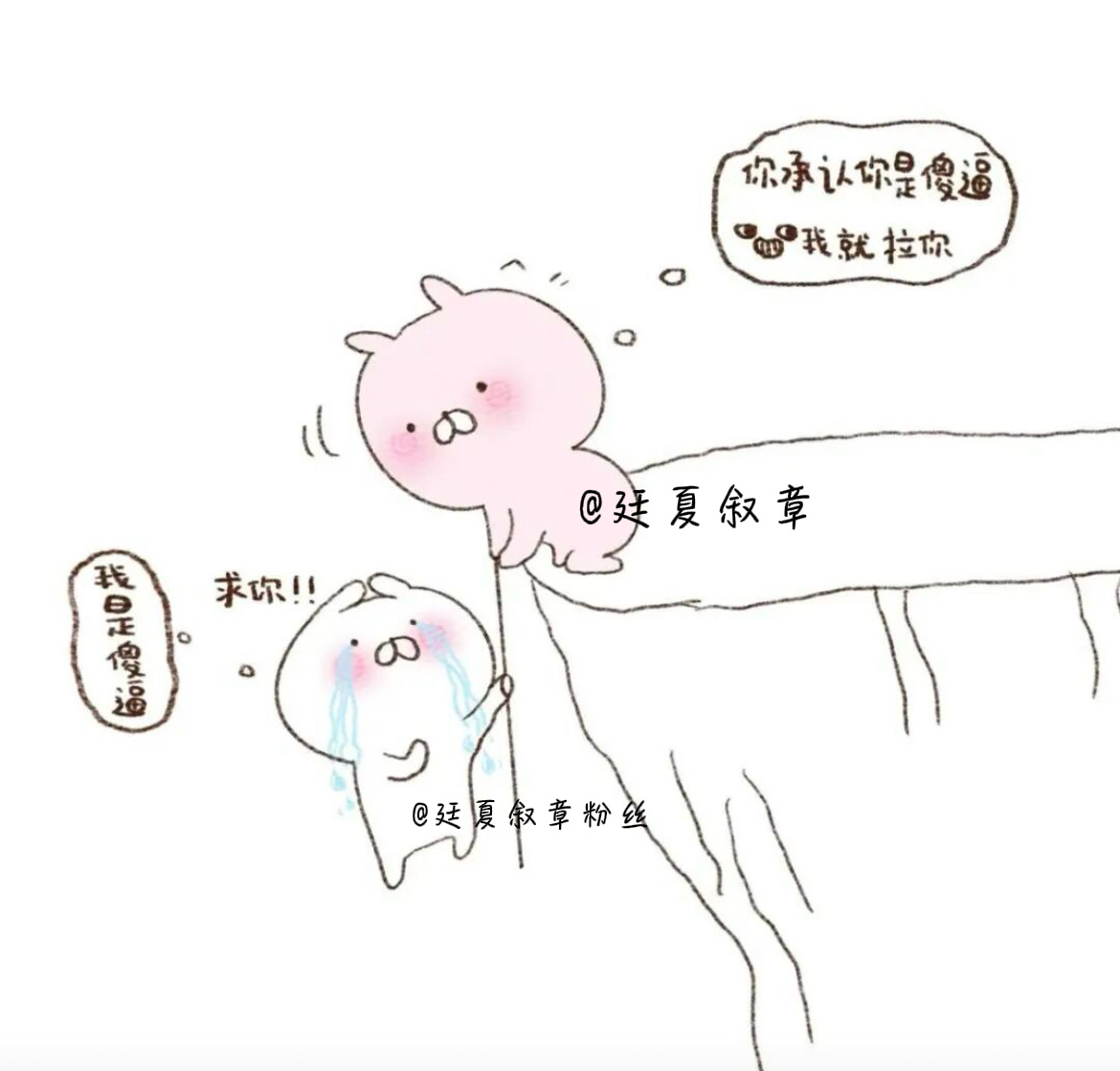 分享图片 