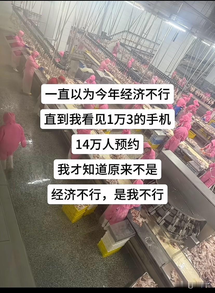 一直以为大环境不行 直到苹果18出来 还有几百万人预约 我才知道我才是那个大环境