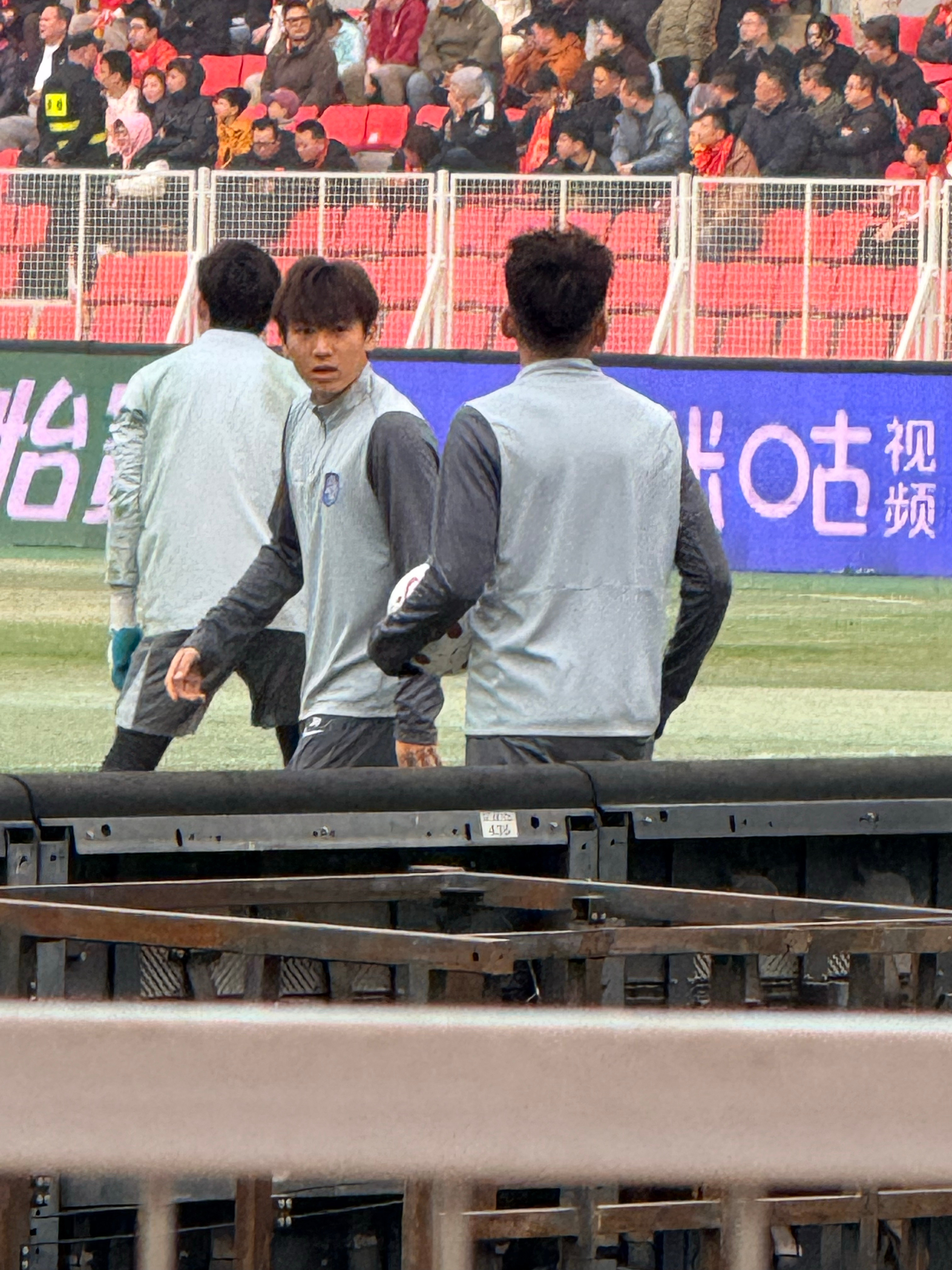 建设一些我🐯川娃puppy love 